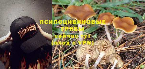 тгк Белоозёрский
