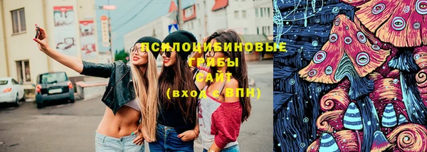 гашик Беломорск