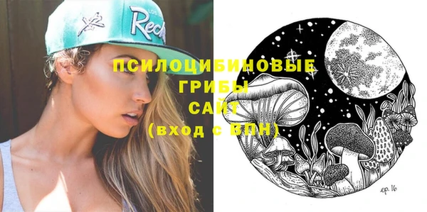 тгк Белокуриха