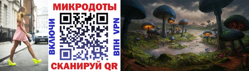 OMG ONION  хочу   Горячий Ключ  Псилоцибиновые грибы Psilocybe 